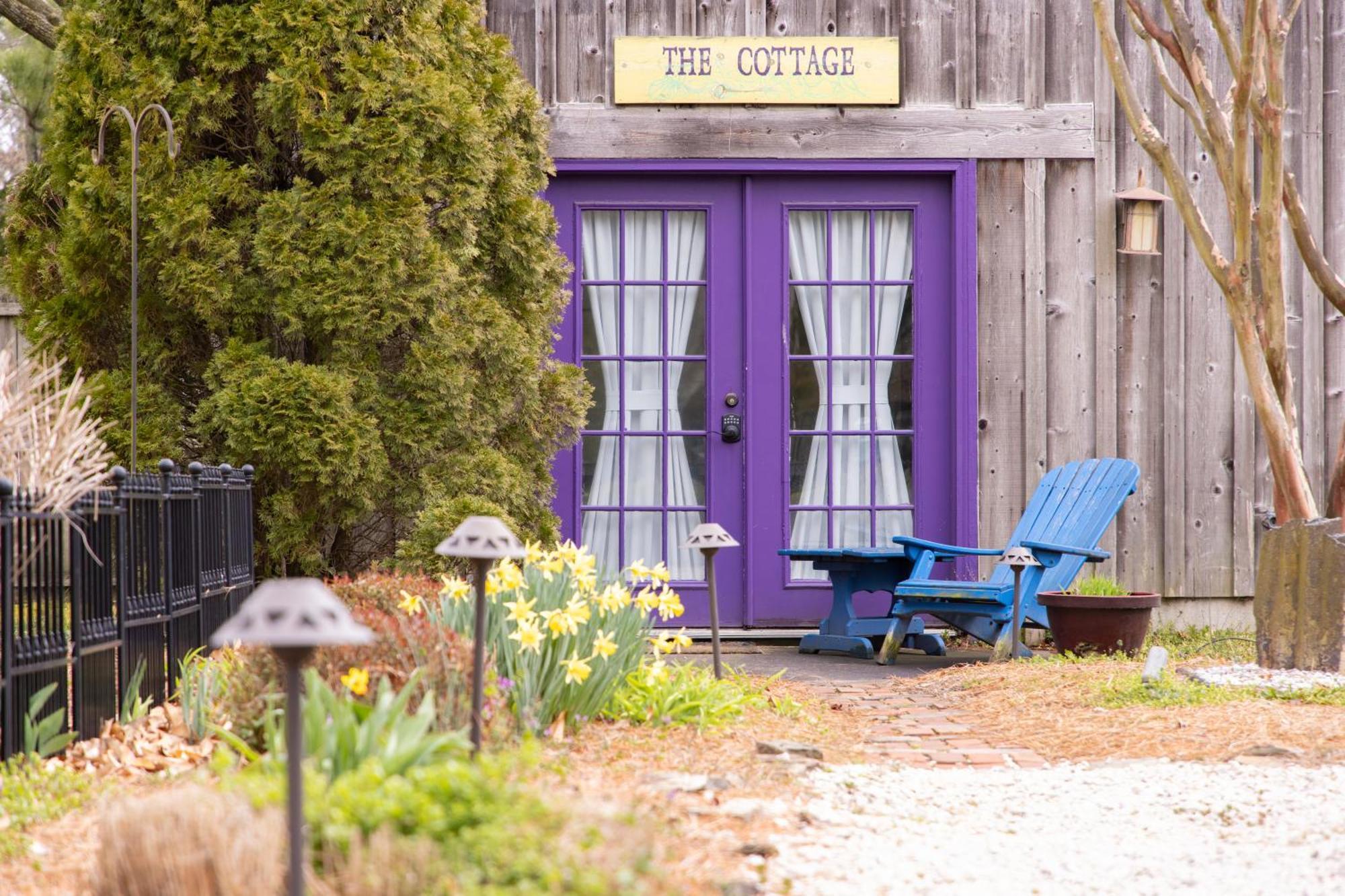 The Homestead B&B Rehoboth Beach Exteriör bild